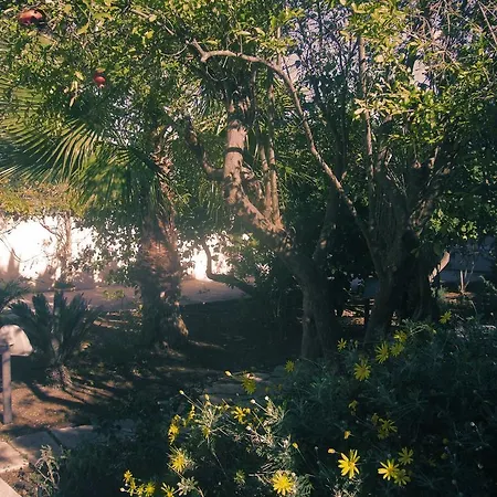 Buena Vista - Country - Free Wifi, Outdoor Shower *