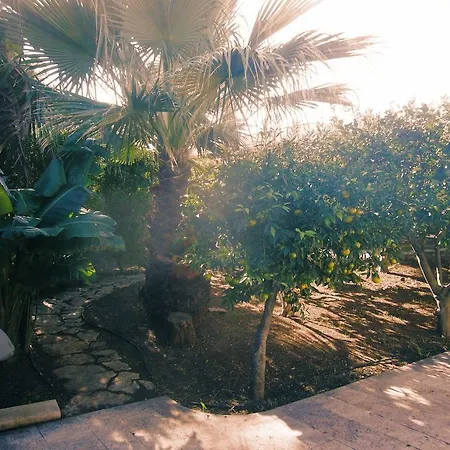 Buena Vista - Country - Free Wifi, Outdoor Shower Ferienhaus *